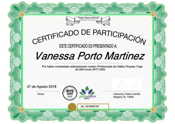 200 Hrs Hatha Vinyasa Yoga RYT-200